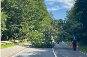 Polizeipräsidium Rostock: POL-HRO: Umgekippter Baum auf Fahrbahn