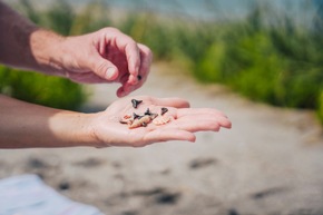 Sechs Stranddestinationen in Florida, die unvergessliche Abenteuer bieten, wie man sie sonst nirgendwo findet