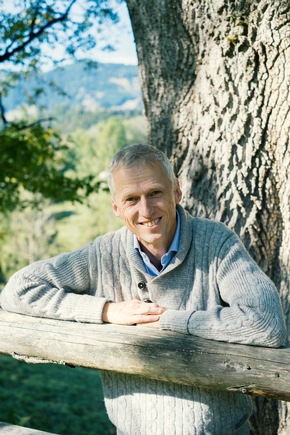Mondholzzimmer - Wenn der Wald ans Hotelzimmer klopft