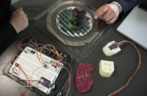 Frische neu messen: PRECISE entwickelt elektronische Nase gegen Lebensmittelverschwendung