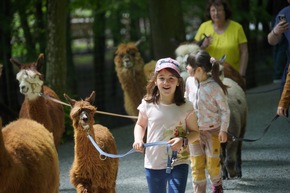 Bärenstarkes Wochenende im Wildparadies Tripsdrill
