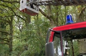 Feuerwehr Schermbeck: FW-Schermbeck: Sturmschaden am Sonntag