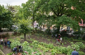 Deutsche Bundesstiftung Umwelt (DBU): DBU fördert: Grünes Klassenzimmer - Schulgärten neu gedacht