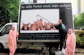 Deutscher Tierschutzbund e.V.: Deutscher Tierschutzbund startet zum Welttierschutztag bundesweite Plakataktion gegen die gesetzlich sanktionierte Tierqual in deutschen Schweineställen