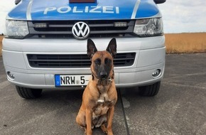 Polizei Dortmund: POL-DO: Diensthündin Skadi stellt Einbrecher in Dortmund-Deusen