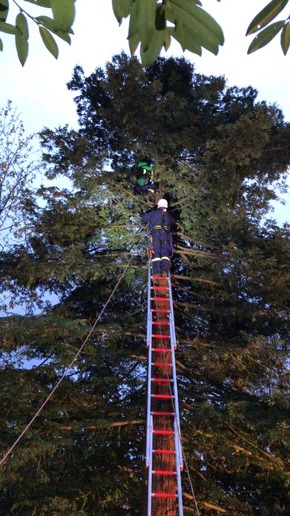 FW-Erkrath: Kind aus Baum gerettet