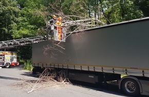 Feuerwehr Dortmund: FW-DO: 27.06.2020 Dortmund-Syburg Baum fällt auf LKW