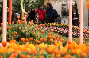 Messe Berlin GmbH: Grüne Woche 2017: "Das Paradies ist überall" - Zum 500. Jubiläum der Reformation setzt die Blumenhalle Martin Luthers berühmtes Zitat in ein gartenarchitektonisches Gesamtkunstwerk um