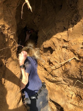 FW-Erkrath: Aufwändige Suche nach vermissten Hund in einem Fuchsbau