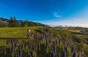 Madeira Promotion Bureau: Dem Winter entfliehen auf Madeira – Farbtherapie gegen den Winterblues