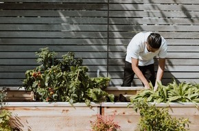 Clark Germany GmbH: Sicher durch die Gartensaison 2021: Was Hobbygärtner:innen jetzt beachten sollten