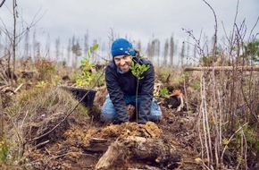 Bergwaldprojekt e.V.: Bergwaldprojekt feiert 35-jähriges Jubiläum: 150 Ehrenamtliche pflanzen 6.074 Bäume in Braunlage im Harz / Umweltminister Christian Meyer beteiligt sich