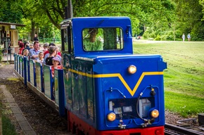 Top 11 Family-friendly Activities in the Leipzig Region: Fun for All Ages