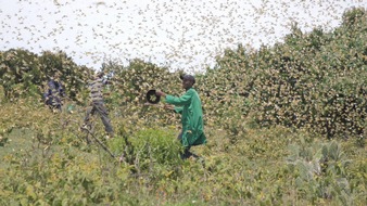 World Vision Schweiz und Liechtenstein: Dreifach Katastrophe in Kenia und Uganda