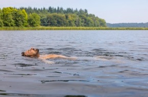 Tourismus-Agentur Schleswig-Holstein GmbH: Pack' die Badehose ein - Ab zum See in Schleswig-Holstein