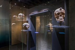 Antikenmuseum Basel: Ouverture de la nouvelle exposition internationale «IBÈRES»