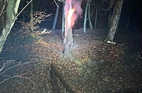 Polizei Mettmann: POL-ME: Baumstumpf in Brand gesetzt - die Polizei ermittelt - Erkrath - 2212002