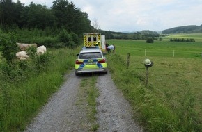 Kreispolizeibehörde Märkischer Kreis: POL-MK: Reitunfall: Schwerverletzte Reiterin