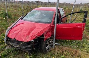 Polizeidirektion Landau: POL-PDLD: Verkehrsunfall im Weinberg