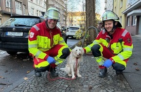 Feuerwehr Dortmund: FW-DO: Rauchmelder rettet Hundeleben in Dortmund-Mitte