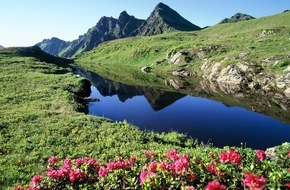 ALPBACHTAL SEENLAND Tourismus: Almrosentage: Farbenfest im Alpbachtal - BILD