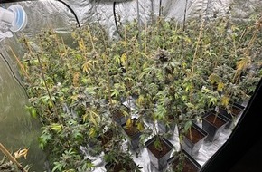 Polizeiinspektion Heidekreis: POL-HK: Walsrode: Brand am Amtsgericht; Soltau: Alkoholisiert mit Strauch und Hecke kollidiert; Munster: Cannabis-Indoor-Plantage (FOTO); Schneverdingen: Gefährdung durch Überholmanöver
