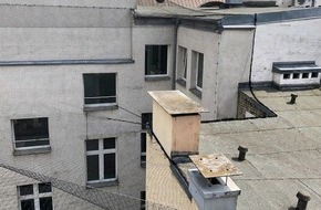 Industrie Kletterer Hamburg: Kein Zugang für Tauben: Netze als wirksamer Schutz vor einem Befall