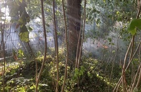 Feuerwehr Gelsenkirchen: FW-GE: Vegetationsbrand im Bereich der Sportanlage Sch&uuml;renkamp in Gelsenkirchen