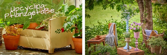 Pelargonium for Europe: Geranien im neuen Look: Kreative DIY-Ideen für Upcycling-Pflanzgefäße