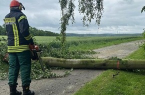 Feuerwehr Ense: FW Ense: Baum auf Fahrbahn