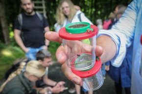 BAUHAUS Kunden erleben erfolgreichen Waldschutz hautnah