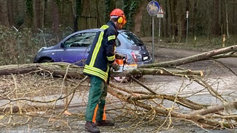 Freiwillige Feuerwehr Celle: FW Celle: Sturmtief Ylenia über Celle - bis 15 Uhr 16 wetterbedingte und 2 weitere Einsätze