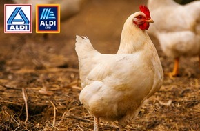 ALDI: ALDI setzt sich für mehr Tierwohl in der Hühnerhaltung ein