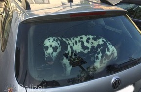 Hochschule der Polizei: HDP-RP: Lebensgefahr für Hunde bei Hitze in geparkten Autos