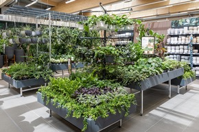 Pressemitteilung: Neuer&ouml;ffnung am 23. April 2026 - Dehner Garten-Center in K&ouml;nigsbrunn
