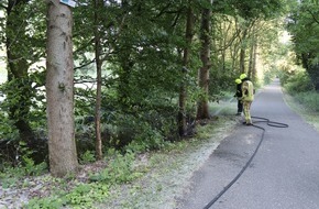 Freiwillige Feuerwehr Gangelt: FW Gangelt: Vegetationsbrand am Waldrand in Gangelt