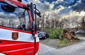 Feuerwehr Neuss: FW-NE: Zwischenbilanz Sturmtief | Sechs sturmbedingte Einsätze