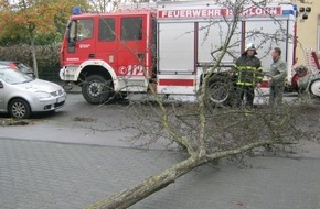 Feuerwehr Iserlohn: FW-MK: Zwei Einsätze am Sonntag wegen umgestürzte Bäume