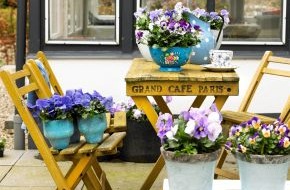 Blumenbüro: La vie est belle! Veilchen, Männertreu & Schneeflockenblumen auf Balkon & Terrasse / Gartenblüher im Stil der französischen Provence arrangieren (BILD)