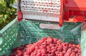 Holderhof Produkte AG: Sirup aus Schweizer Himbeeren