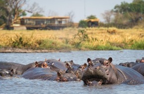 Schaffelhuber Communications: Wake up in the Wild + + + Mit Wilderness zu ungezähmten Abenteuern in Sambia und Simbabwe