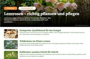 dlv Deutscher Landwirtschaftsverlag GmbH: kraut&rüben bekommt neuen Internetauftritt