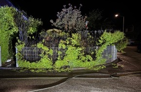 Freiwillige Feuerwehr Alpen: FW Alpen: Nächtlicher Heckenbrand in Menzelen