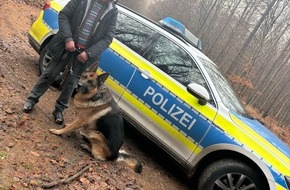 Polizei Braunschweig: POL-BS: Polizei hilft bei Suche nach Hund