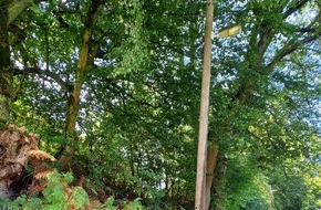 Feuerwehr Herdecke: FW-EN: Hindernisse auf Fahrbahn und Sturz in Wohnung besch&auml;ftigen Feuerwehr am Wochenende