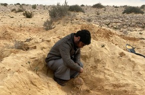 Volksbund Deutsche Kriegsgräberfürsorge e. V.: Gebeine in ägyptischer Wüste gefunden