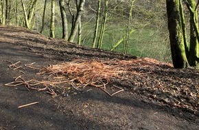 Polizeidirektion Pirmasens: POL-PDPS: Illegale Müllablagerung in Zweibrücken OT Mittelbach