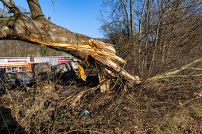 FW Porta Westfalica: 22.01.2026 - A2: Schwerer LKW-Unfall / 1 Verletzter