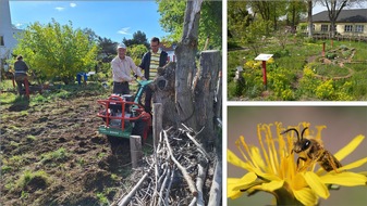 Stiftung für Mensch und Umwelt: Berlin-Schöneweide: Was bringt schon eine Blumenwiese? ð¿ð¸ð