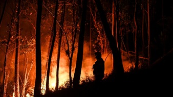 ARTE G.E.I.E.: Programmänderung / Waldbrände in Europa: ARTE nimmt die Doku "Die Macht des Feuers. Wenn Europa brennt" am Samstag, 23. Juli ins Programm